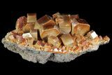 Red Vanadinite Crystal Cluster - Morocco #76521-1